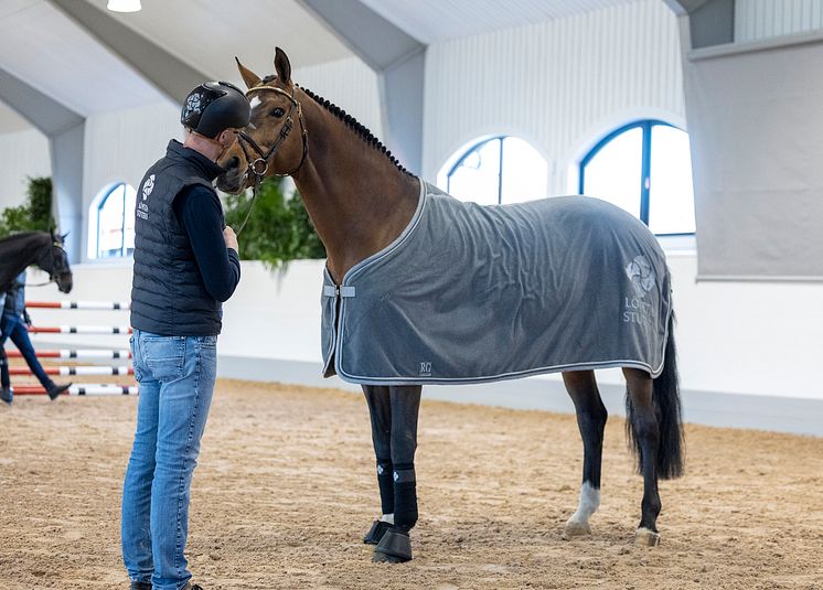 Hingst 2-3 250412 RT (1).jpg