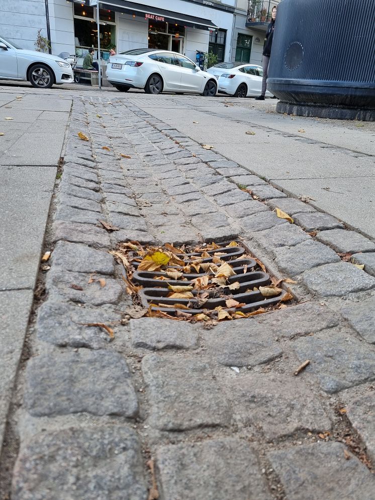 Dagvattenbrunn.jpg