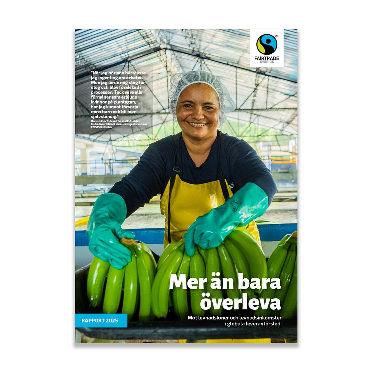 Mer än bara överleva_rapport 2025.jpg