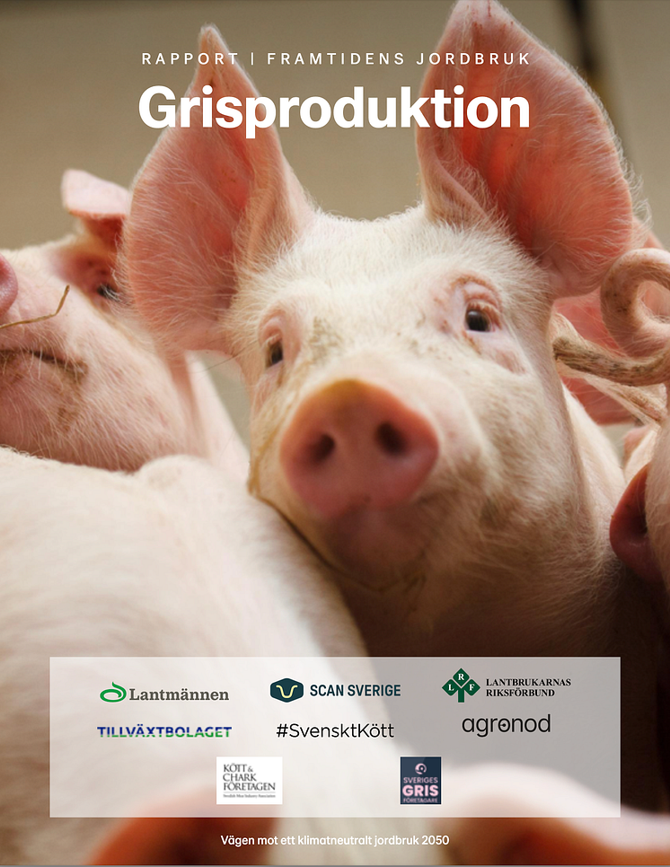 Rapport: Framtidens jordbruk - Grisproduktion