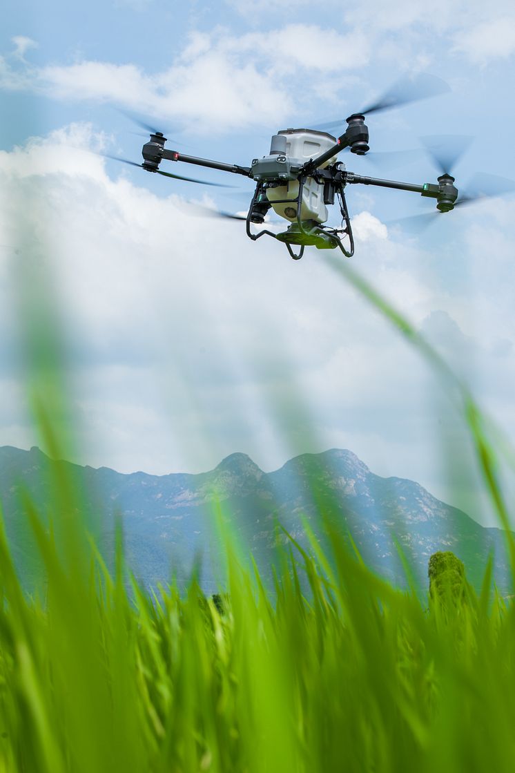 DJI Agras T50-5.jpg