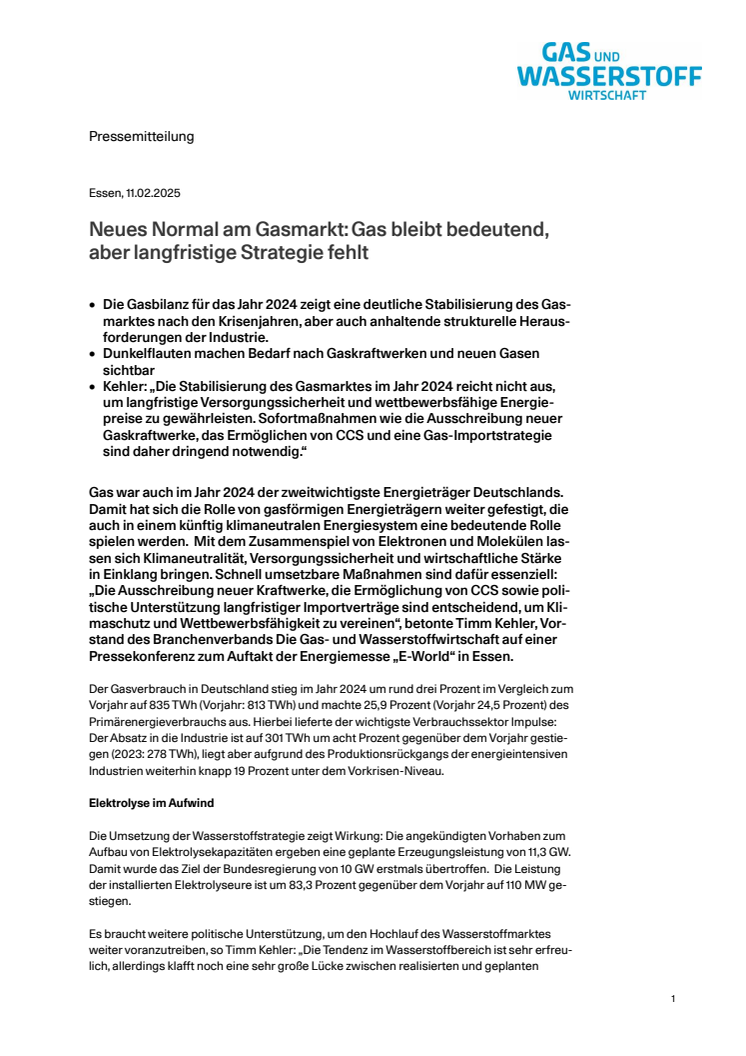 20250211_PM_Gasbilanz.pdf