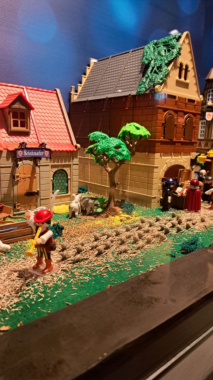 PLAYMOBIL-Sonderausstellung im Museum Hameln.jpg