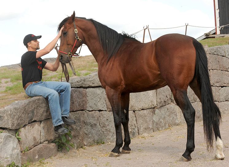 Prince Tagg och Ralf