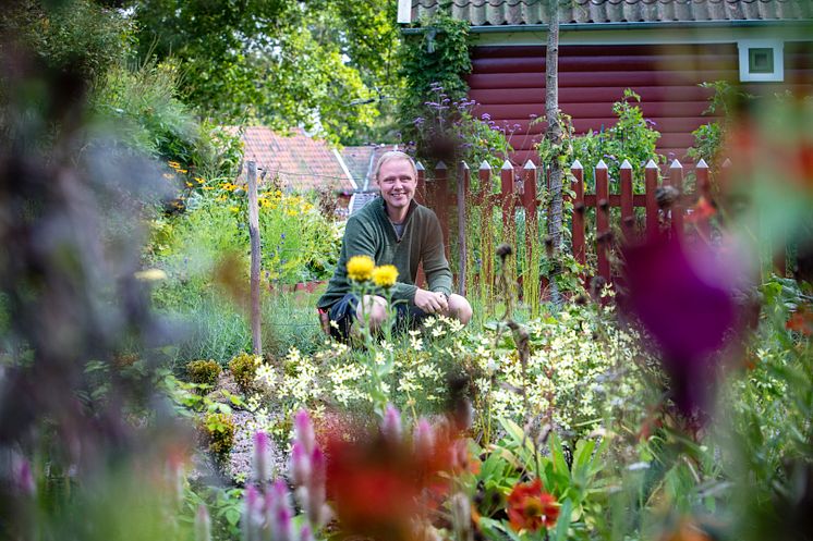 Trädgårdsmästare Andreas Blomberg i Hemtrefnadens trädgård.jpg