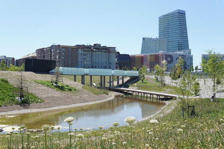 Dagvattenparken Hyllie_Malmö_VASYD.jpg
