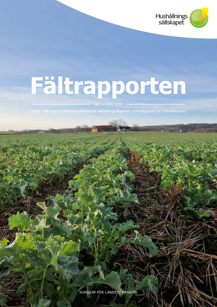 Hushållningssällskapet_Fältrapporten_nr 1_2024_LOW.pdf