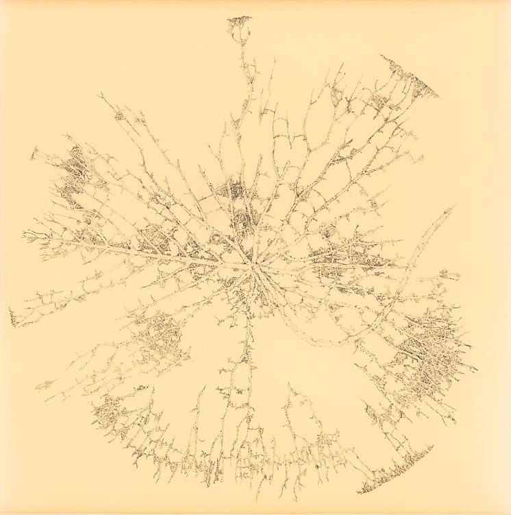 Roland Persson – Nymphaeaceae