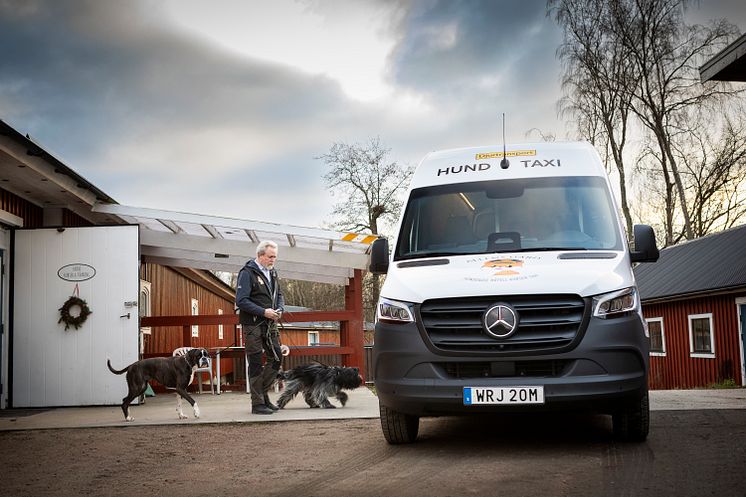 eSprinter Hundtaxi