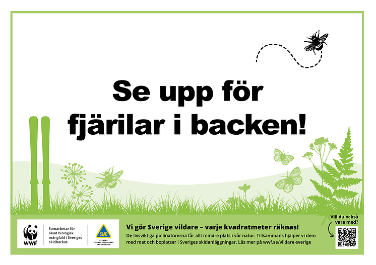 Fjärilar i backen.png