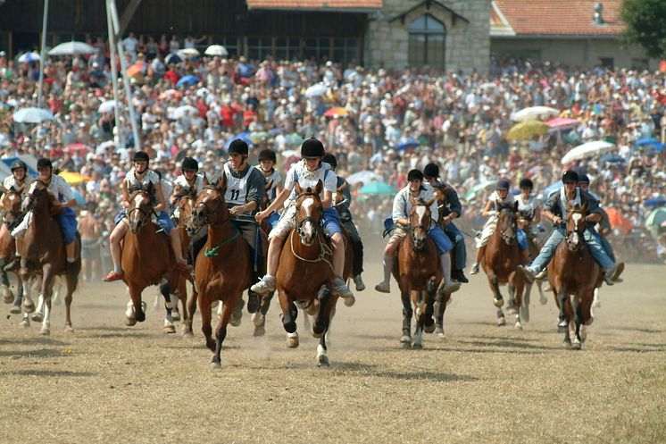 Marché Concours