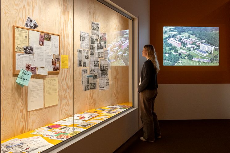 Installationsbild, Lillhagen i färg