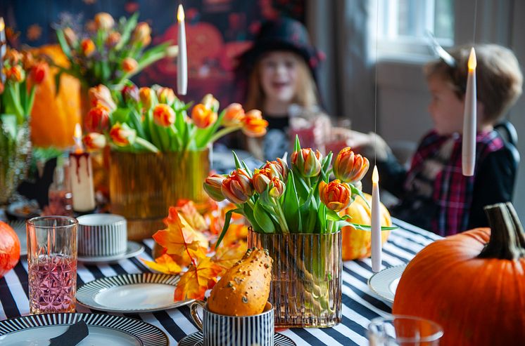 Dukning med tulpaner och pumpor till halloweenfest