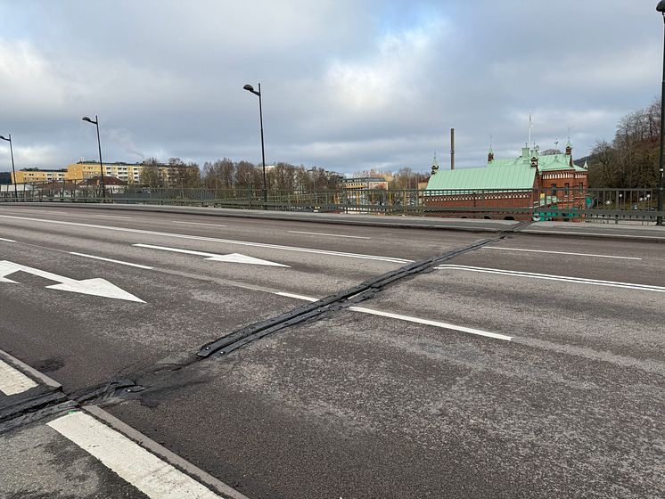 Broskarvar på Centralbron1.jpeg