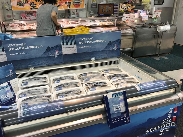 Mackerel SFN promotion.jpg