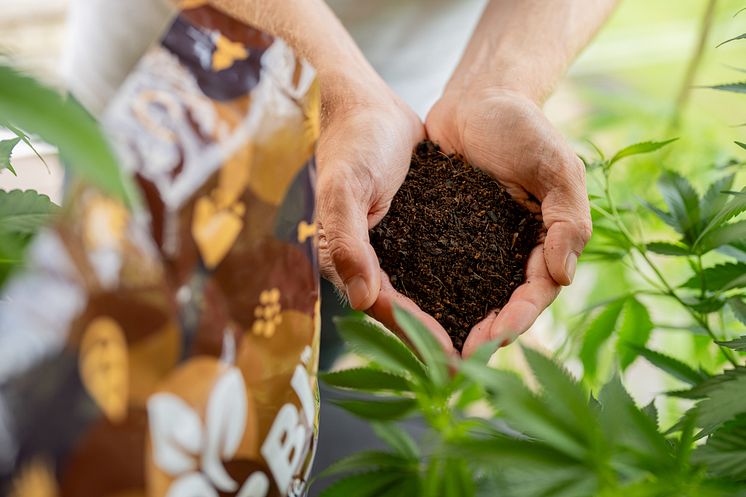 Herbi Living Soil.jpg