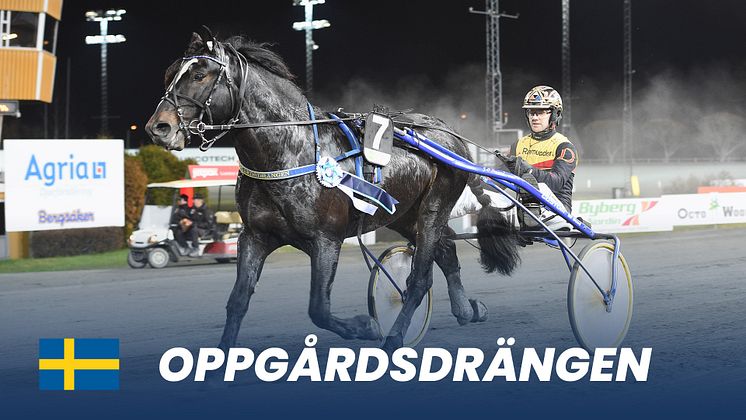 Oppgårdsdrängen_1920x1080.jpg