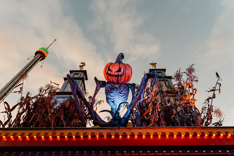 Halloween2019-gronalund-134.jpg