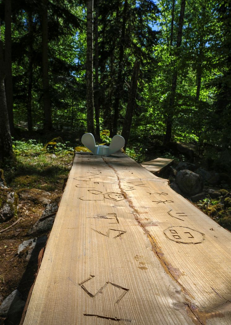 Detaljspångmedbomärken.jpg