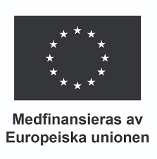 EU logo.png