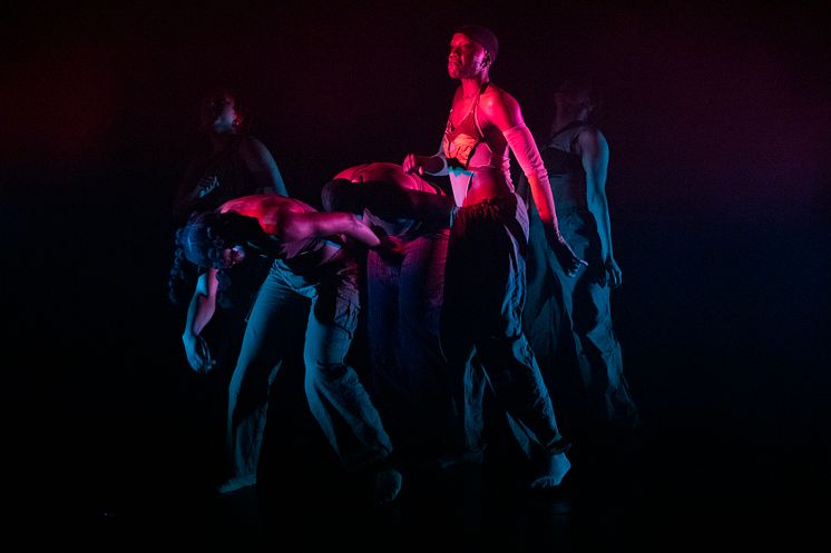 Company Nicolas Huchard - The barefoot diva