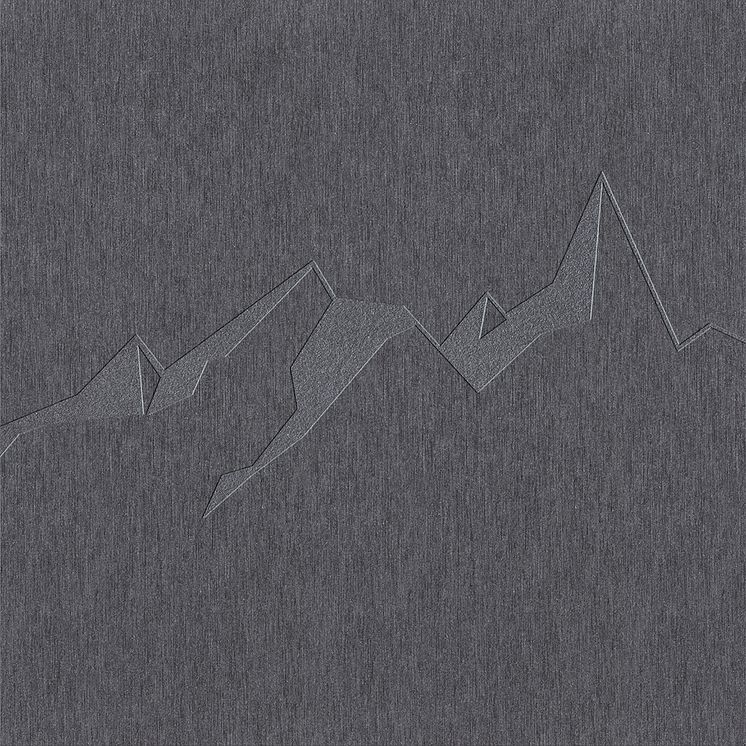 Swisspearl-Patina-NXT-Signature_Surface-1_1080x1080px.jpg