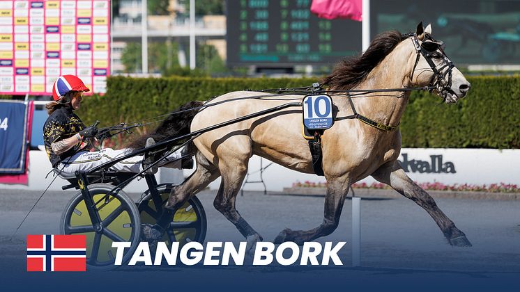 tangen Bork_1920x1080.jpg