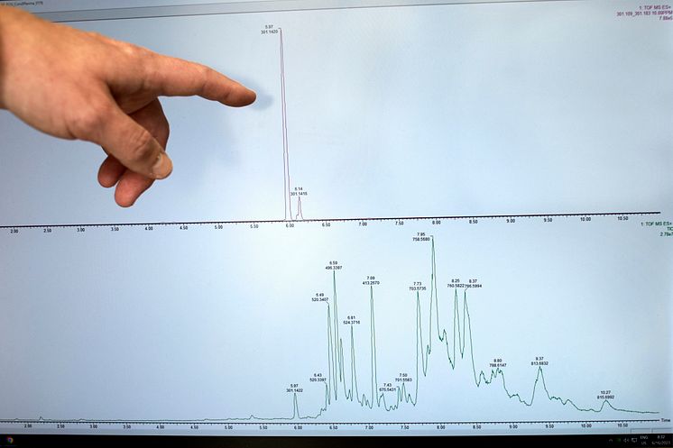 Kromatogram som visar halten av vitamin D i ett blodprov.jpeg