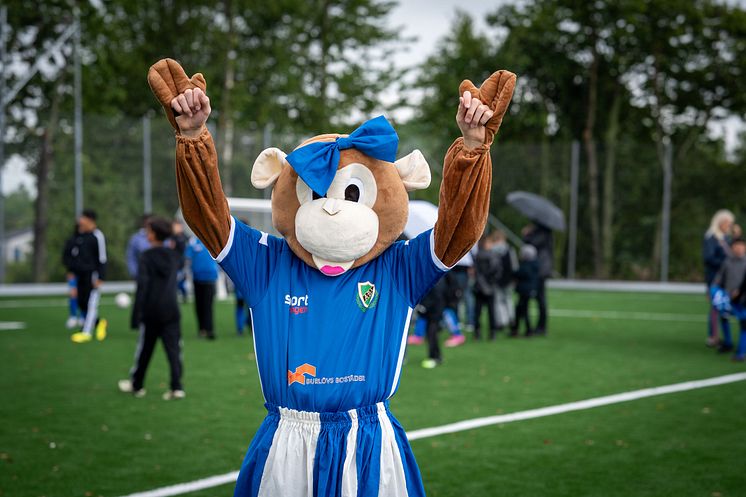 Konstgräsplan Arlövs IP 25.jpg