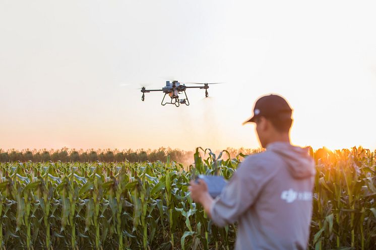 DJI T25-4.jpg