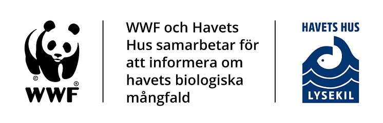 Havets Hus_WWF_partnership_SW.png