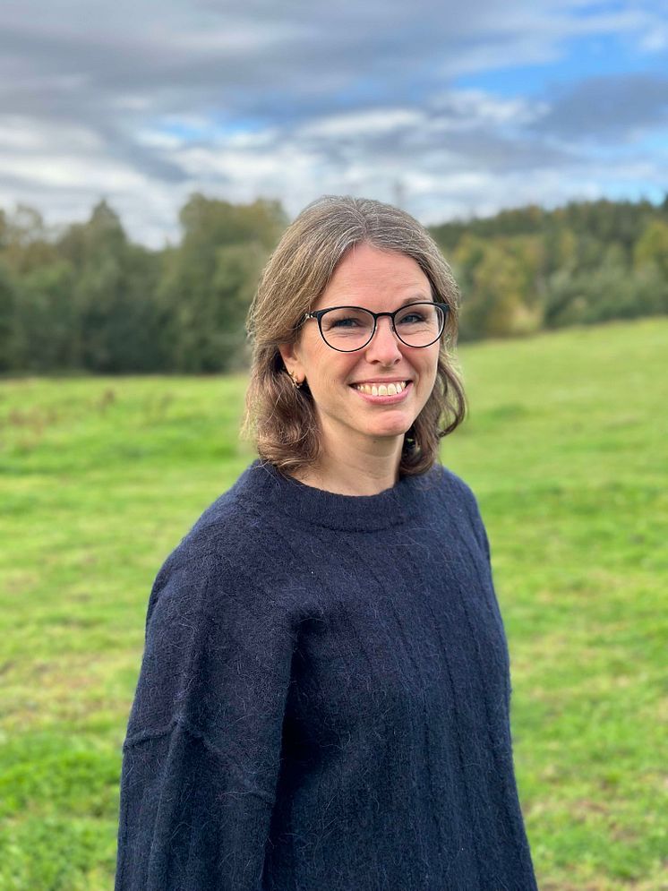Eva Pettersson Görs, Regisör, Resan till det magiska landet