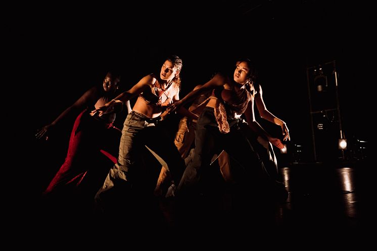 Company Nicolas Huchard - The barefoot diva