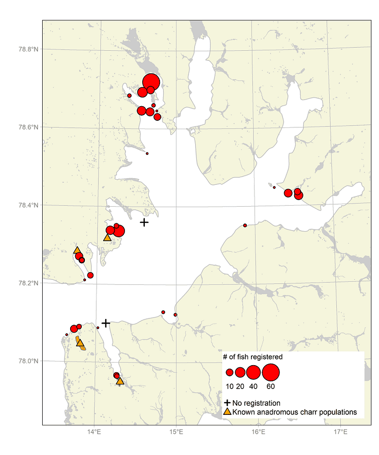 roye3-853x1024 (1).png