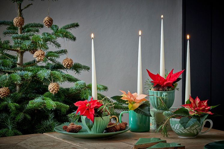 Julblommor_2024_klassiska_dukning_retro