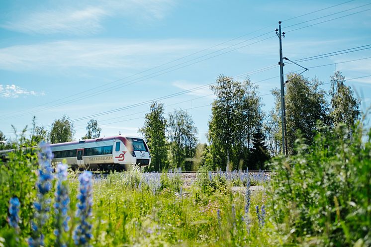 tag-i-bergslagen-regina-pressbild.jpg