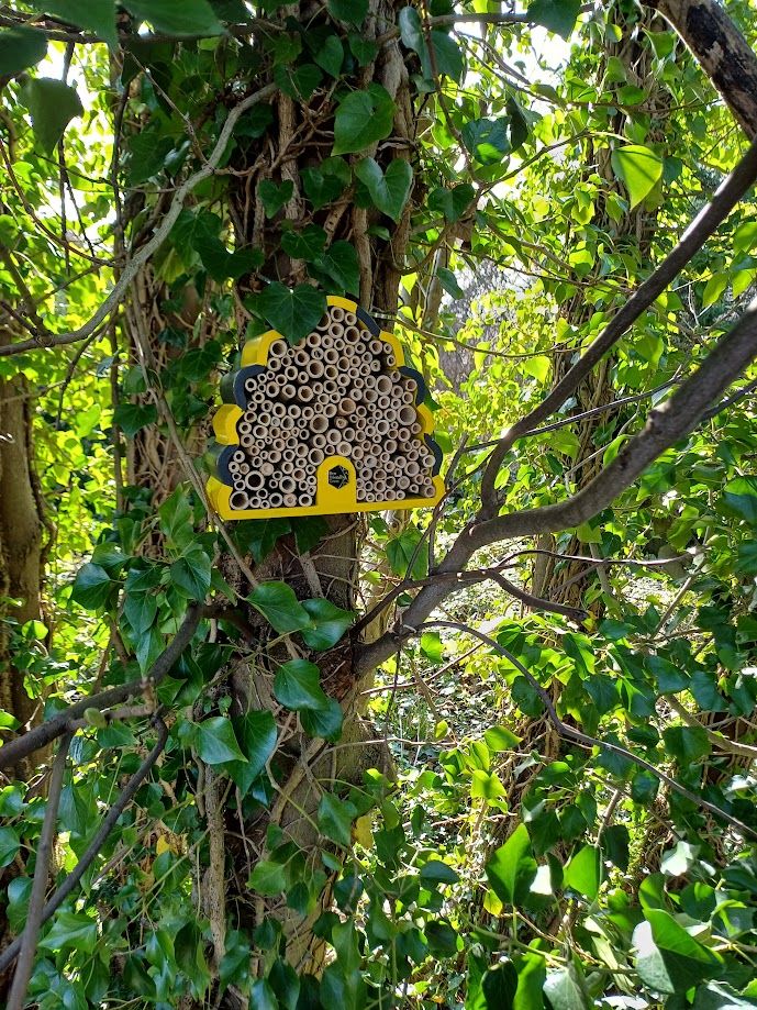 Homes for Nature installed at Purley.jpg