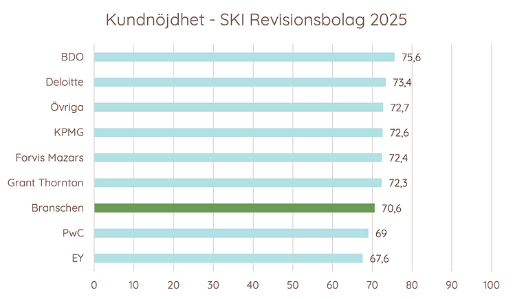 Kundnöjdhet Revision 2025.png