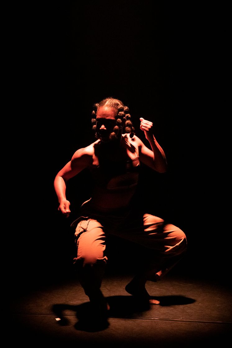 Company Nicolas Huchard - The barefoot diva