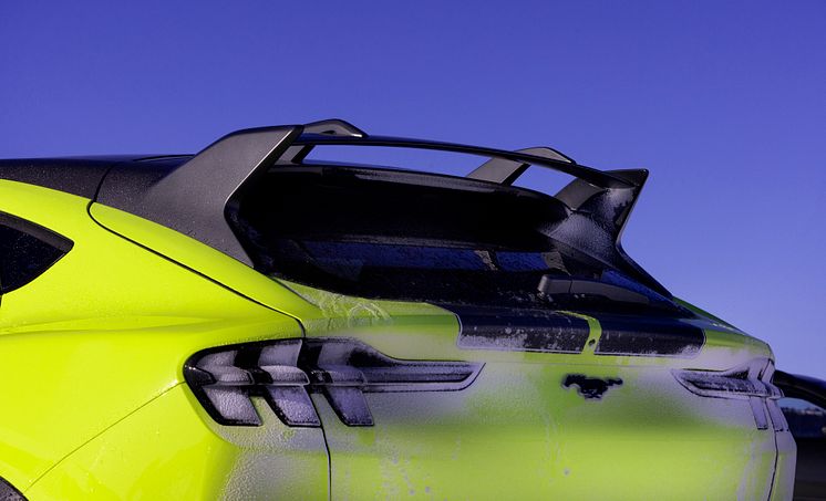 2024 Mustang Mach-E Rally Gol (8).jpg