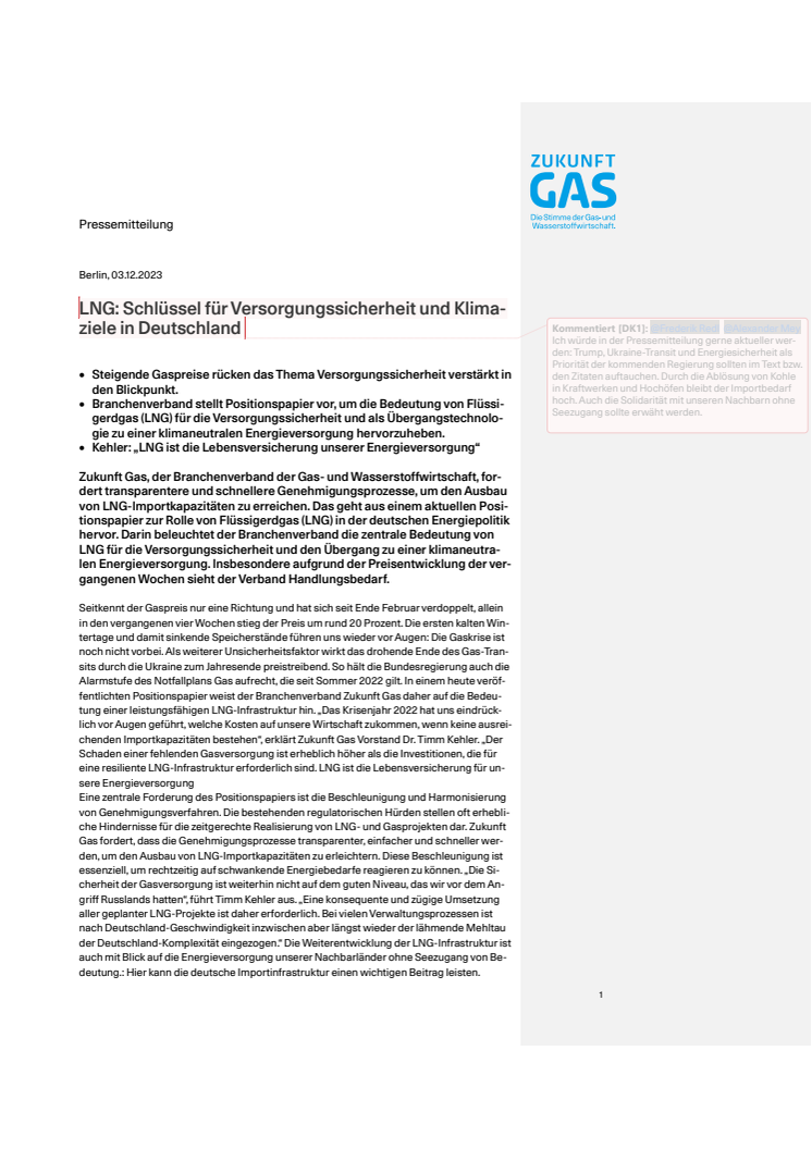 20241203_PM_LNG_Positionspapier.pdf