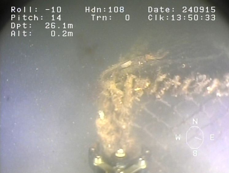 ROV.jpg
