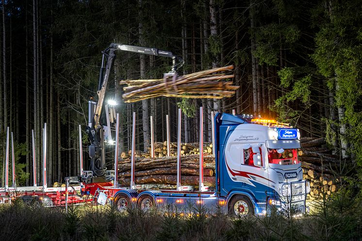 Bioenergy - foto Stefan Nilsson.jpg