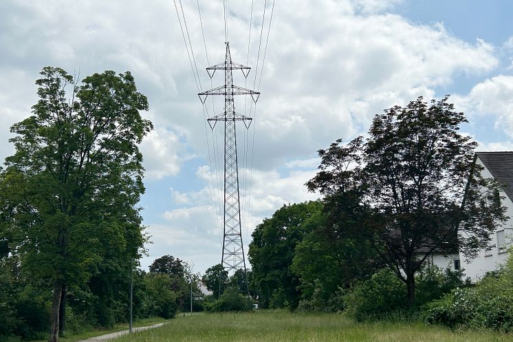 110kV_Ertüchtigung Freileitung Bamberg_1_04062024.jpg