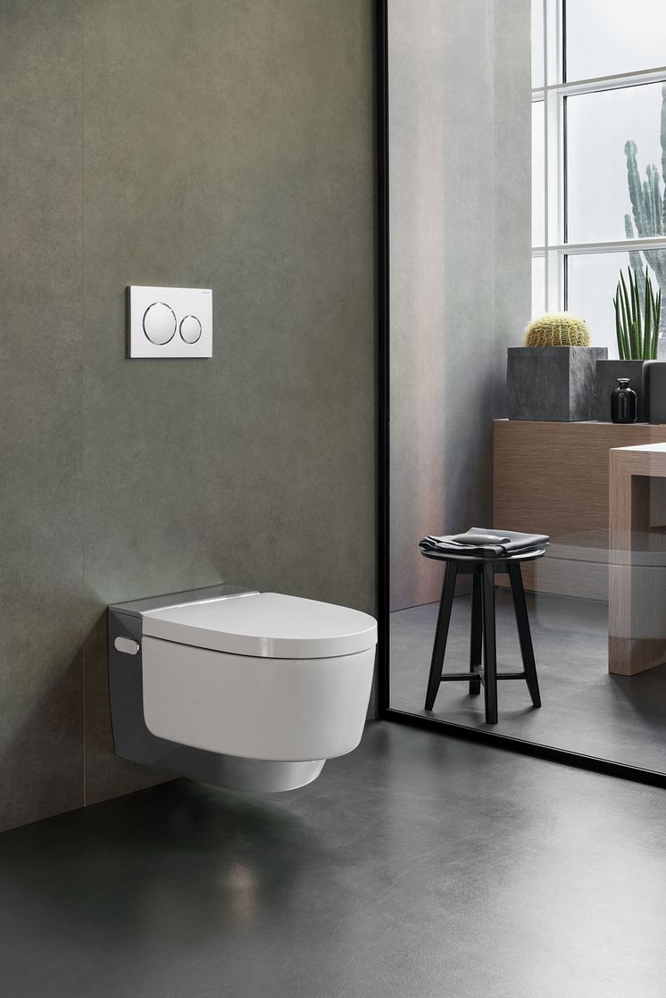 Geberit Mera shower toilet.jpg
