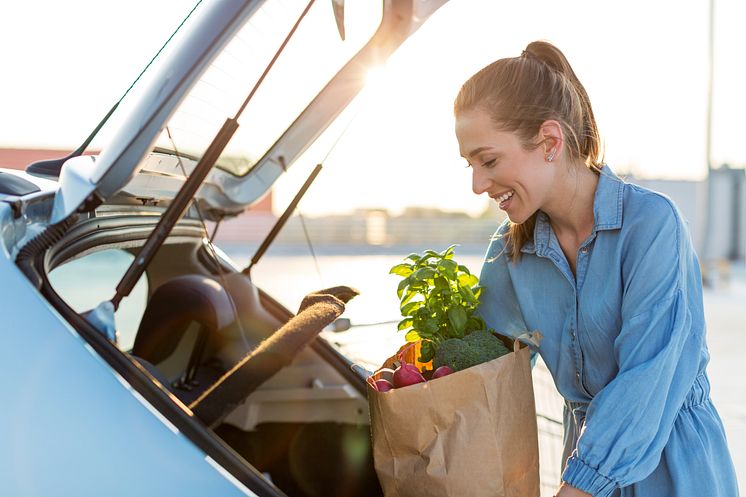 car_is_essential_for_shopping.jpg