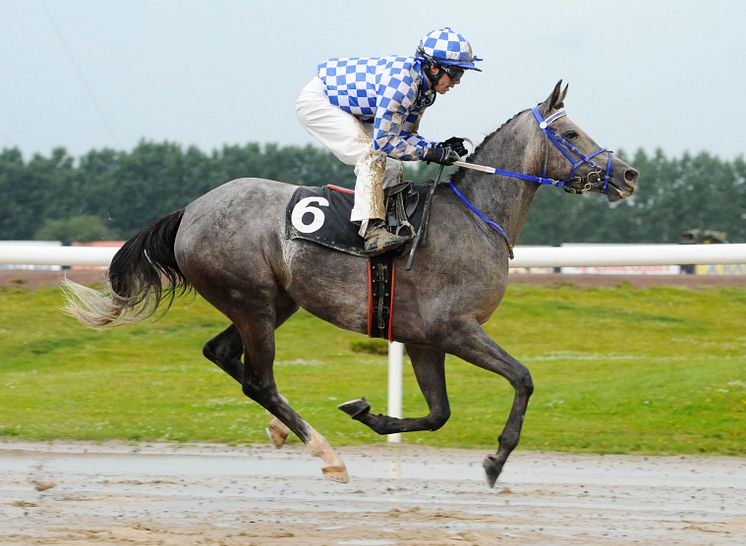 Gharra'a vinner Skandinaviskt Arabderby 2011