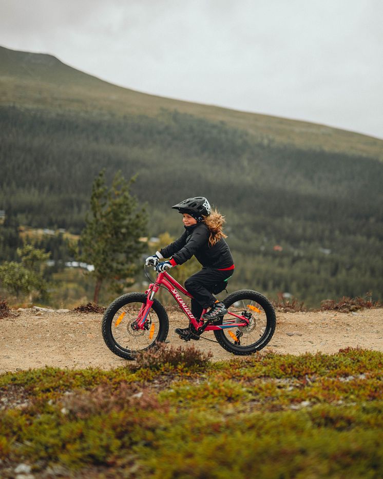 Biking Dalarna, Idre Fjäll