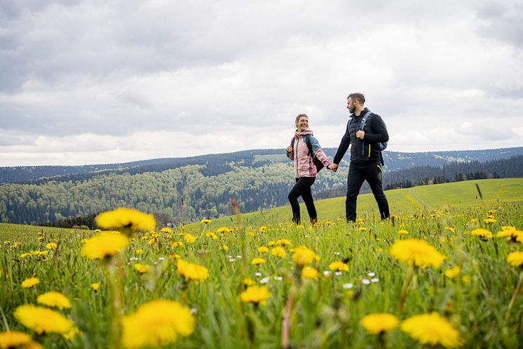 Kammweg Erzgebirge-Vogtland_Frühling_Foto TVE_Dirk Rückschloss.jpg