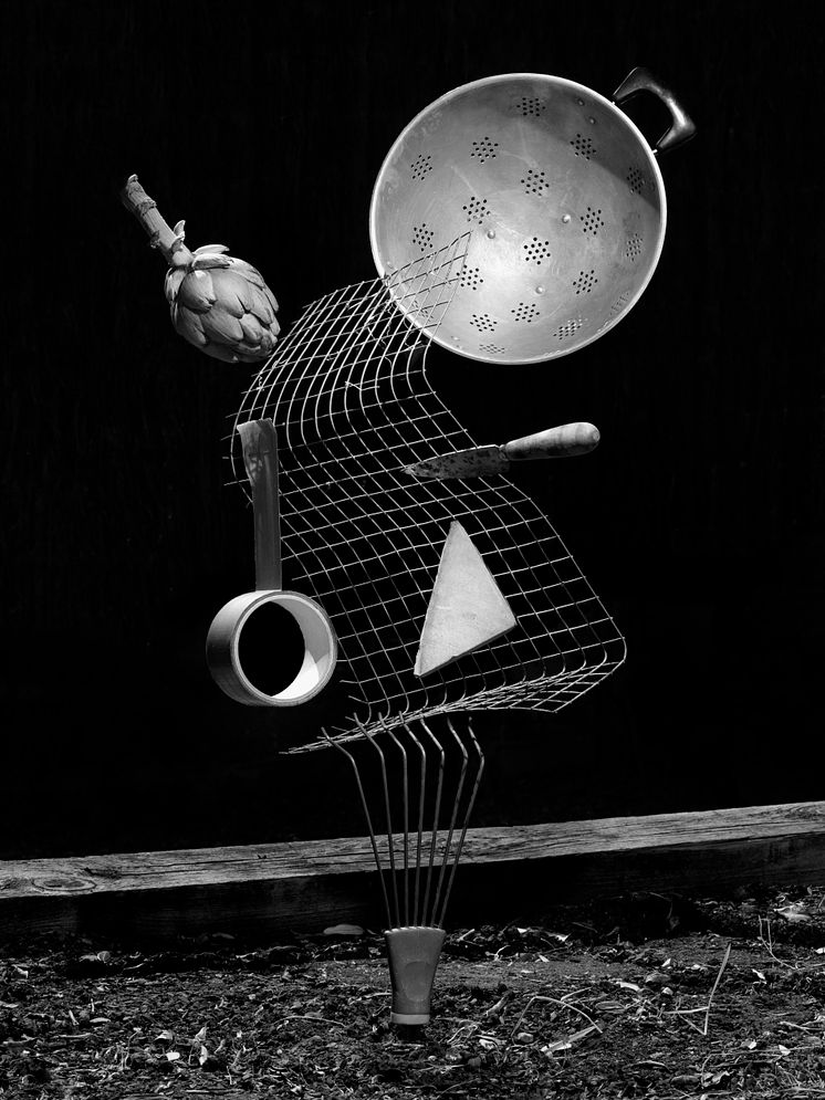 Yurian Quintanas Nobel_The_Ignorant_Gardener_01 (1).jpg